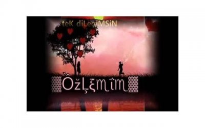 ​表达同事之间团结的话精选15句