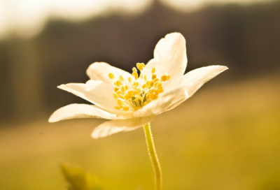 ​教师节怎么发朋友圈说说
