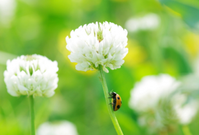 ​触动心灵的感悟说说