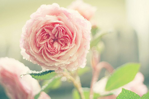 七月与安生经典语录33句