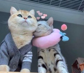 ​感叹岁月匆匆的文案