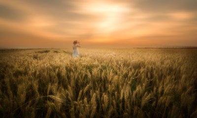 ​经典幽默笑话的句子 喝酒的幽默的经典句子