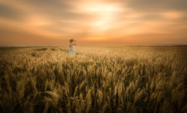 经典幽默笑话的句子 喝酒的幽默的经典句子