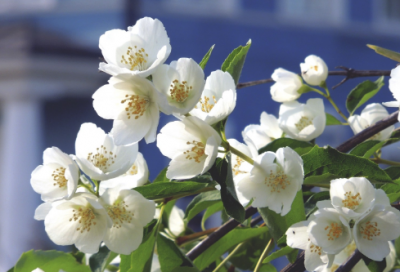 ​秋天唯美简短文案