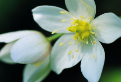 ​七夕祝福语简短一句话206条 七夕祝福语短语