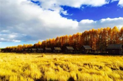 ​失眠睡不着怎么办配图（睡不着的简短说说）