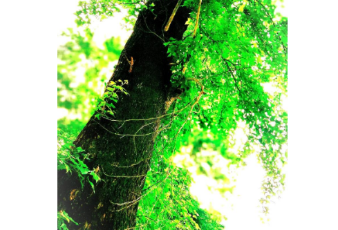 1711132758338078.png image.png