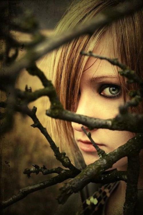 五月你好感慨文案