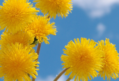 ​适合新年文案