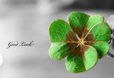 ​六月适合发的文案