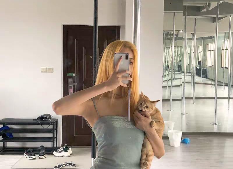 红楼梦选秀文案短句集合96条 红楼梦选秀文案短句集合96条