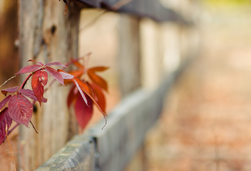 1687271092585713.png image.png