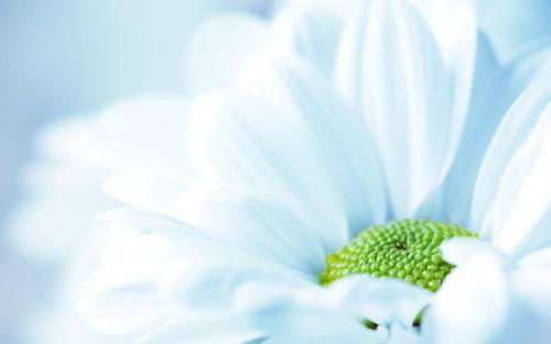 给自己加油的文案