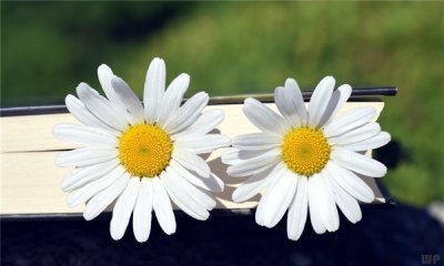 ​早上好！心烦想哭的说说句子，句句充满智慧，送给追爱路上的你