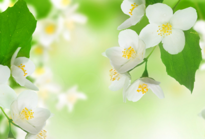 ​适合腊八节的简短文案