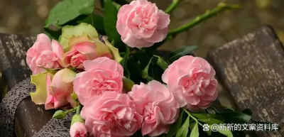 ​女人好好爱自己的高质量文案（女人爱自己就要学会和解的说说，女人爱自己的高