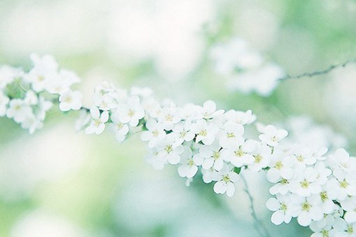 24节气小暑优美文案句子(27句)