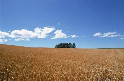 ​形容有幸相遇的文案 关于相遇的文案