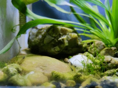 ​抖音最火最热门的毕业说说句子，适合毕业发的句子简短