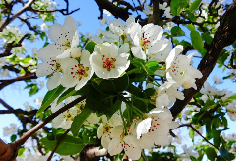 1708254214306501.png image.png