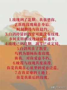 ​关于玫瑰花的唯美文案短句 文案