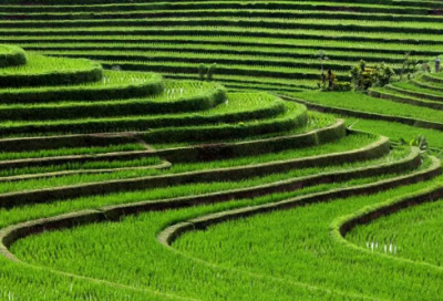 ​心情失落伤感说说句子汇总26句