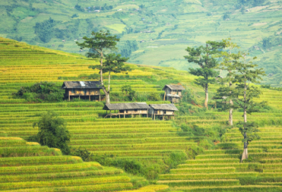 ​超伤感的说说短句(通用27句)