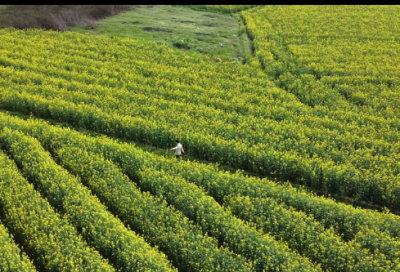 ​看完哭了的伤感空间说说大全