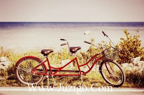 看透亲情的伤感说说 对亲情冷淡失望的说说(55句)