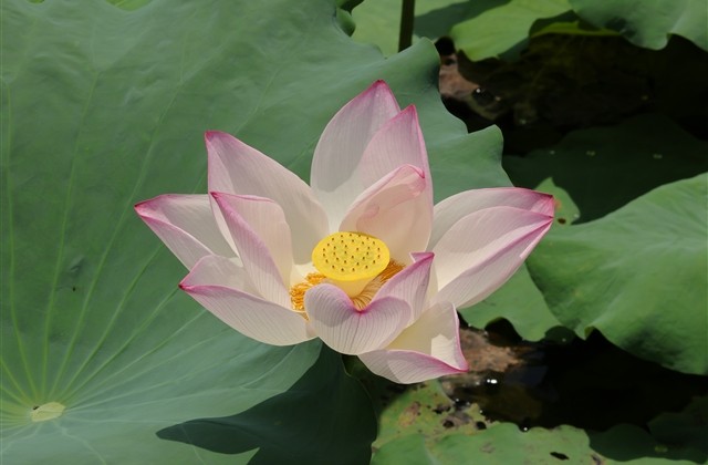 2023搞笑的网名(精选338个) 2023搞笑的网名(精选338个)