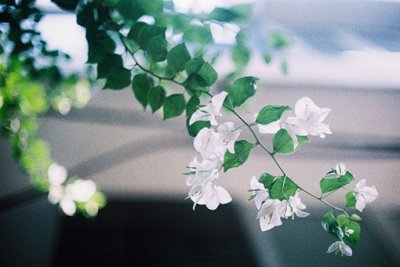 2026年最现实的伤感语录76句