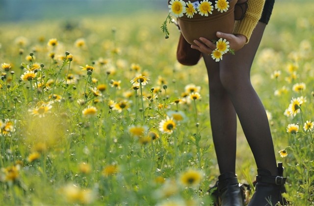 杨姓女孩取名2023兔年