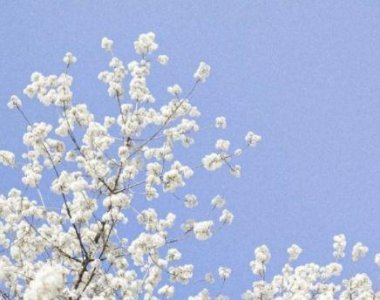 ​再见2026你好2027语录抖音很火说说(精选89句)