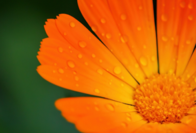 ​伤感文案短句-58句