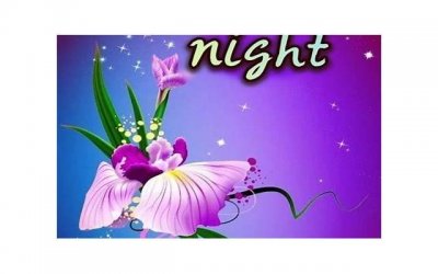 ​高级土味情话一问一答（又欲又撩人的文案）