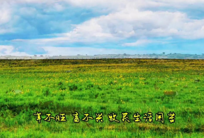 ​描写梅花品质的句子23句