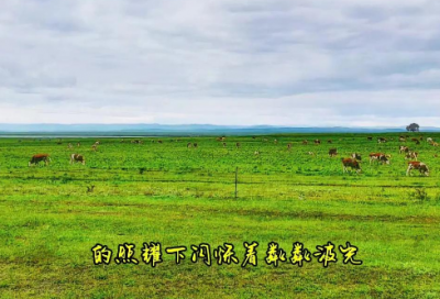 ​心疼入骨的伤感句子