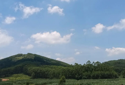 ​exo王道文经典语录 【exo王道文名句】