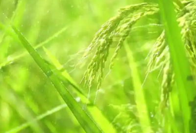 ​爱情霸气励志的话