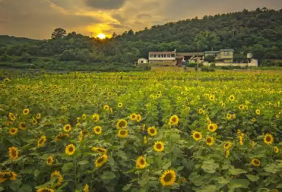 ​最新的励志文言文名句大全 励志文言文名句