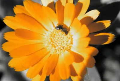 ​十一月晚安励志心语大全