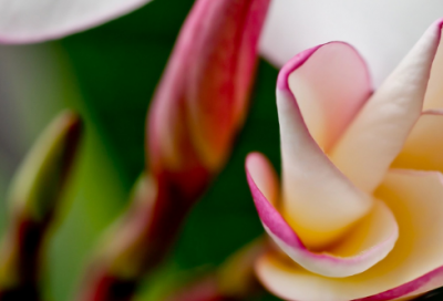 ​鼓励同事的早安励志心语