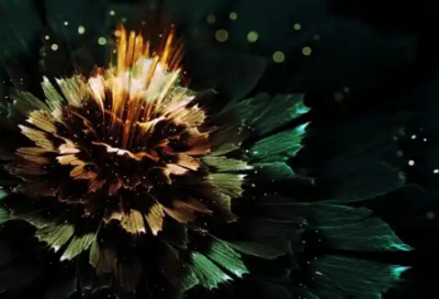 ​冲刺高考的励志金句