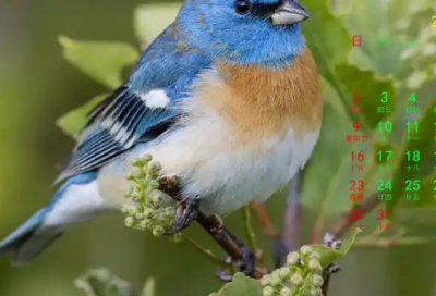 ​励志正能量激励语 正能量激励语