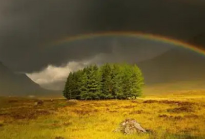 ​励志正能量的段落摘抄 乐观心态短句励志