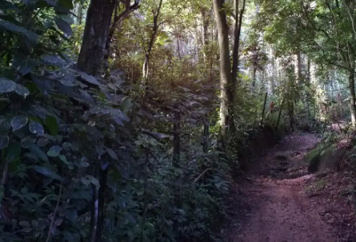 ​最新早安励志心语