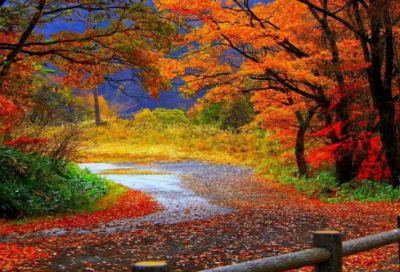 ​清晨激励人的励志问候语 勉励人的问候语