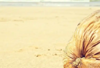 ​关于未来的励志短句