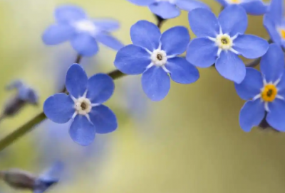 ​2026最新正能量励志早安语(早安正能量简单话)