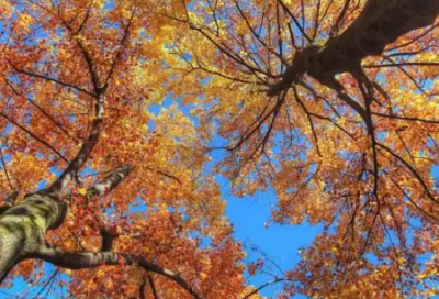 ​对工作充满热情的励志语